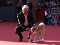 Richard Gere posa con un perro Akita de la misma raza de los usados en la película. Estos perros no son fáciles de entrenar y se usaron varios en la producción